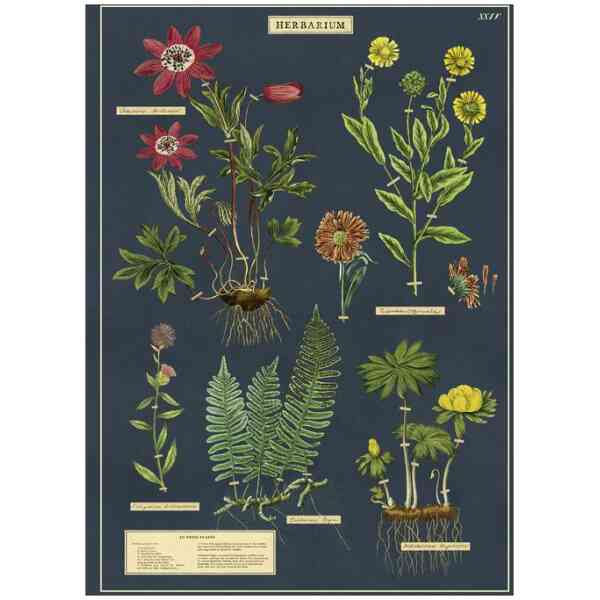 Herbarium - Poster