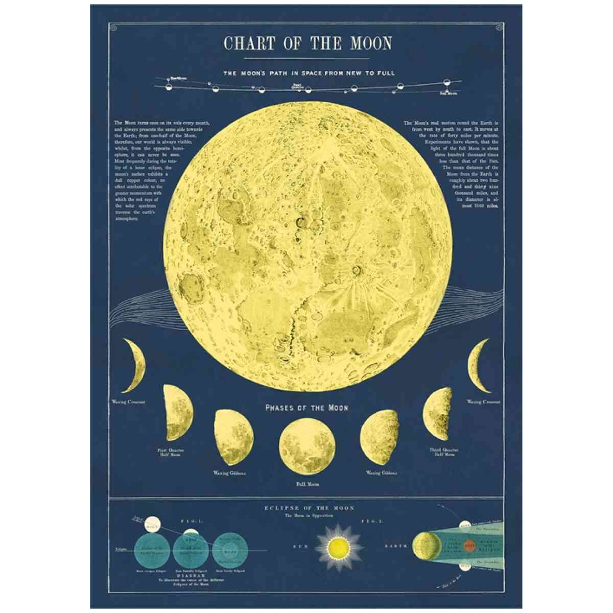 Moon Chart Poster Cavallini