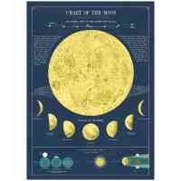 Moon Chart Poster Cavallini
