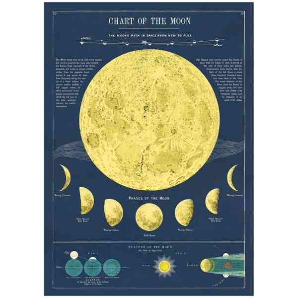 Moon Chart - Poster