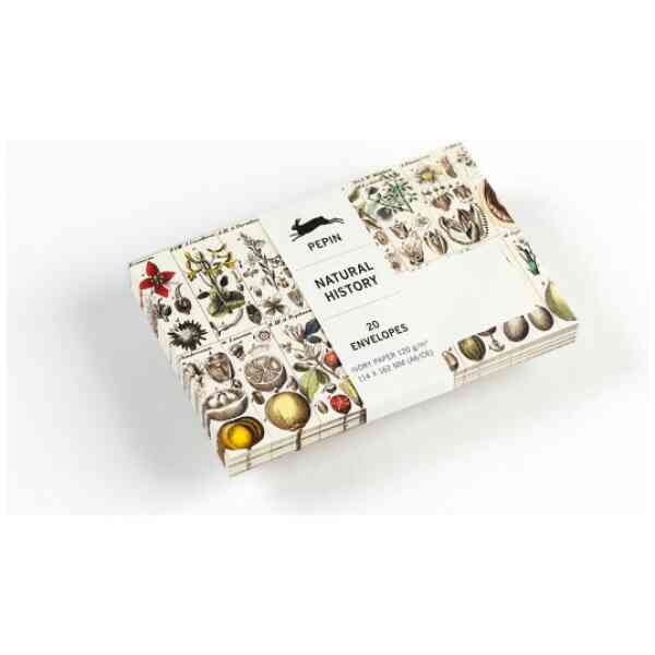 Natural History, C6 Envelopes