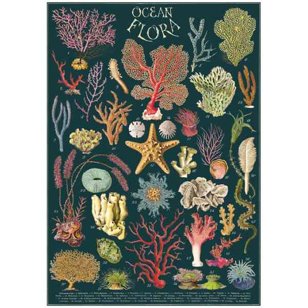 Ocean Flora Poster Cavallini