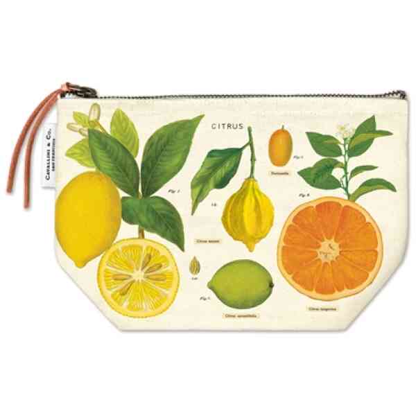 Citrus Vintage Pouch