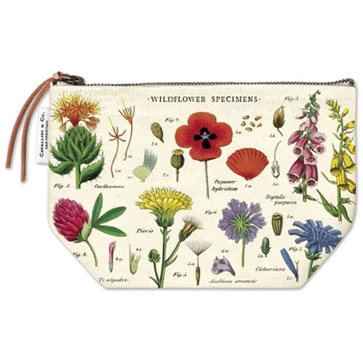 Wildflower specimens/Wildflowers Vintage Pouch