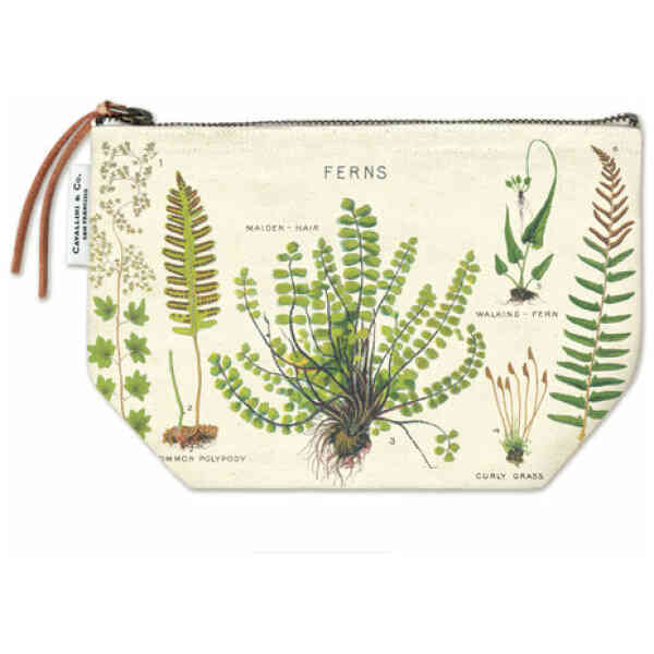 POUCH FERN