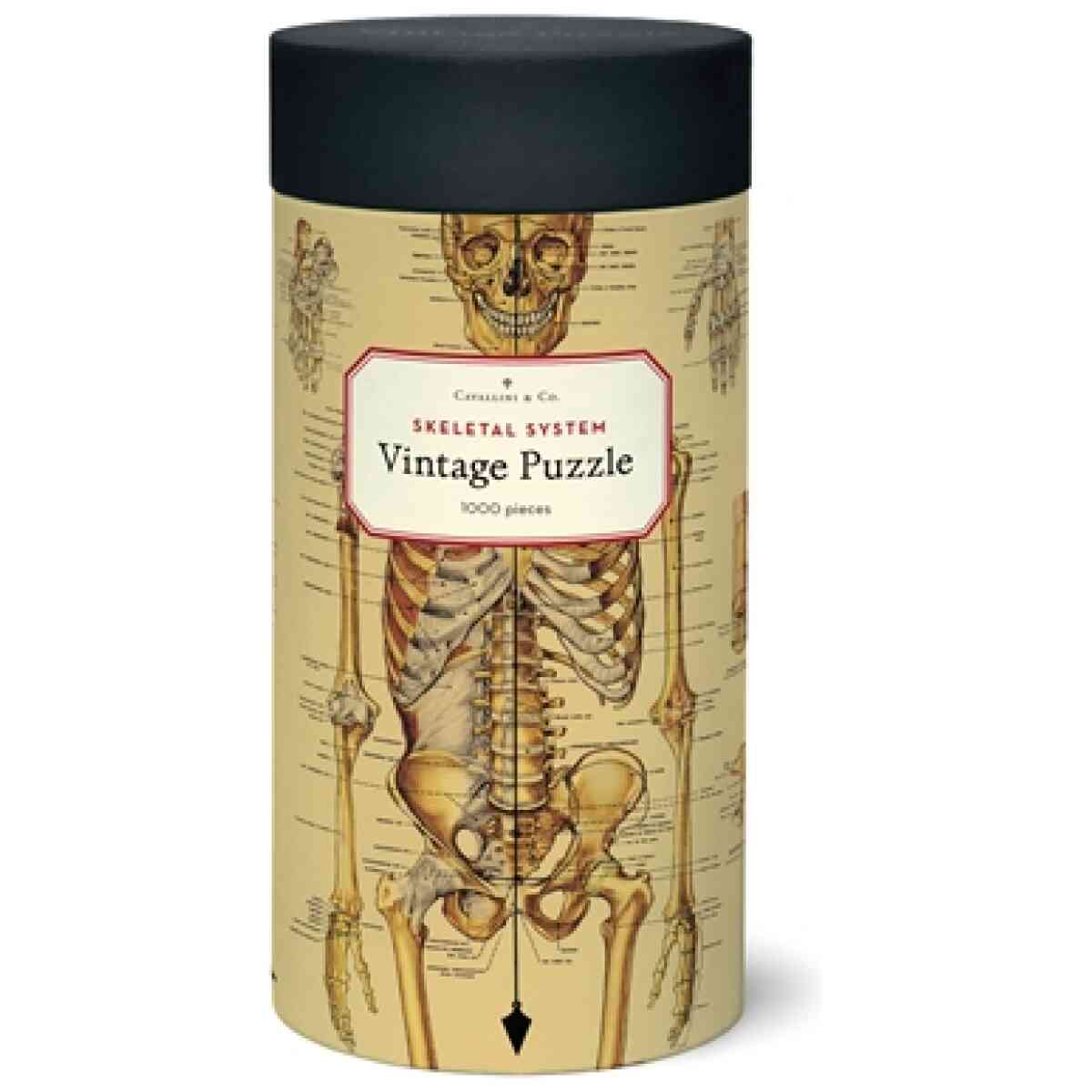 Cavallini & Co. Skeletal System 1000 bitar pussel