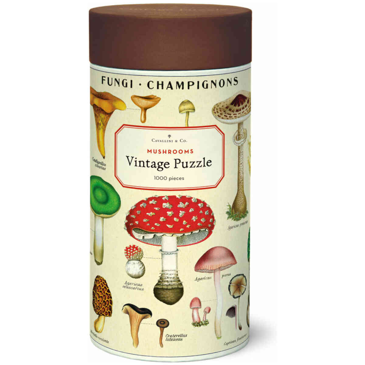 Cavallini & Co. Mushrooms 1000 bitar pussel