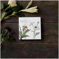 SquareCardfolderKungliga