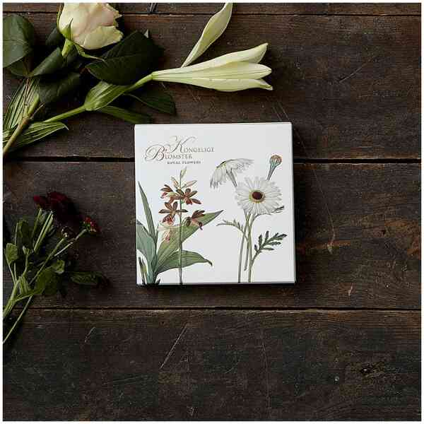 Square Cardfolder - Kungliga blommor 8 kort w/kuvert