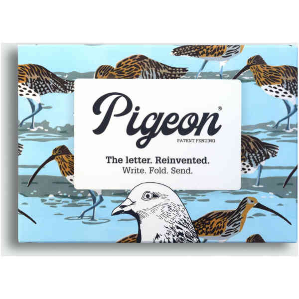 Hebridean Pigeons
