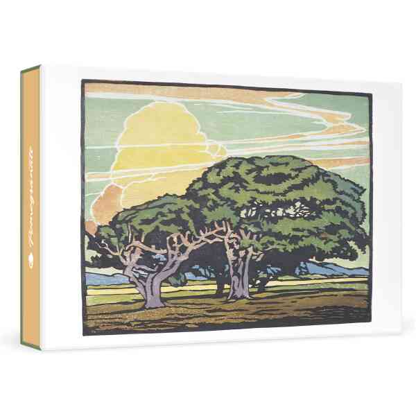William S. Rice: Del Monte Oaks Small Boxed Cards