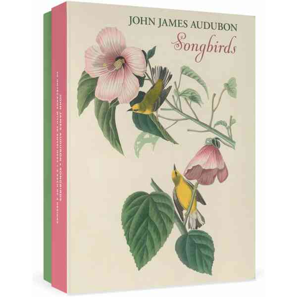 John James Audubon: Songbirds Boxed Notecard Assortment