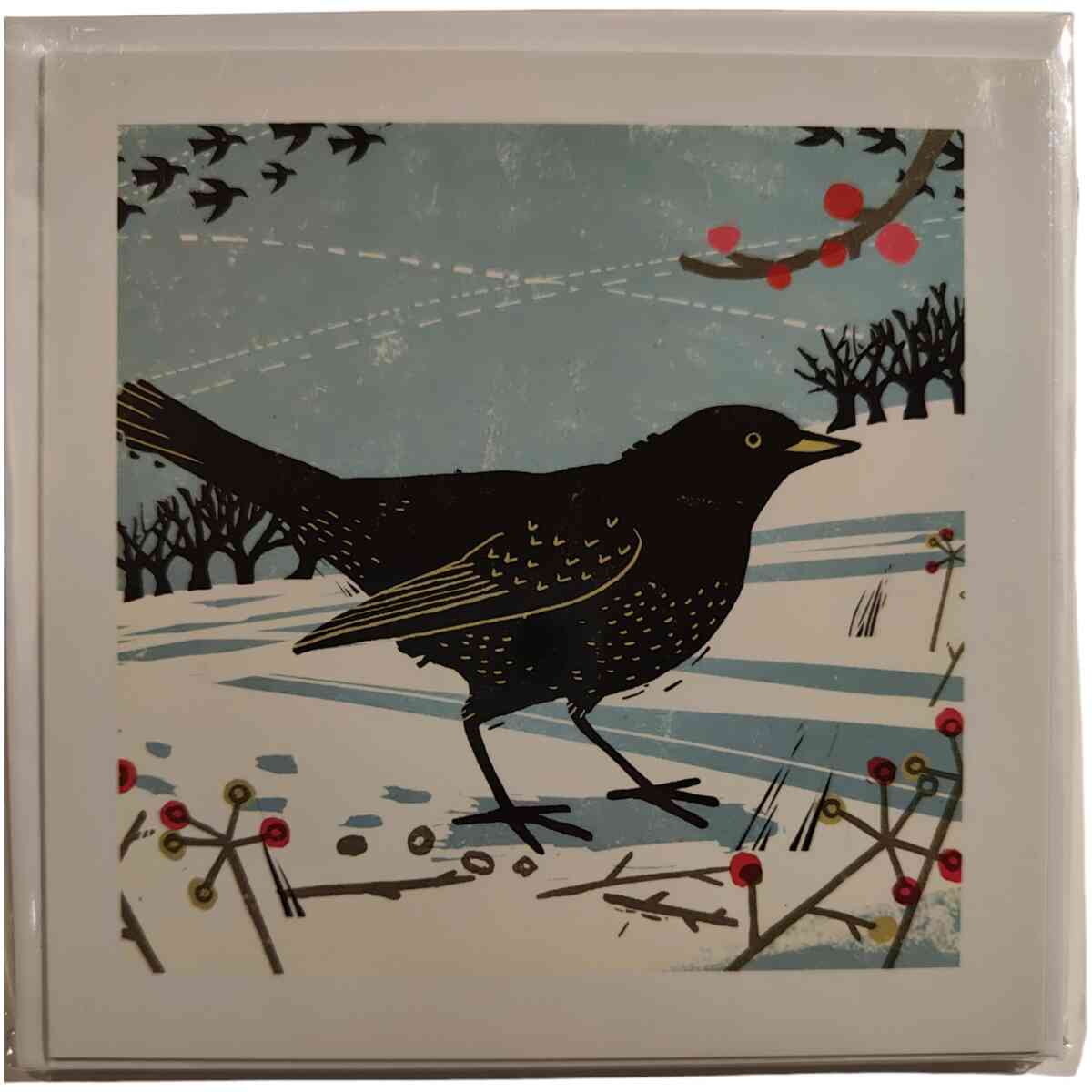 Black Bird