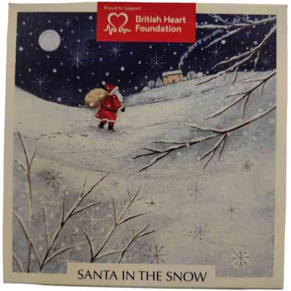 Theme Packs Santa in the Snow (20 cards/Pack)