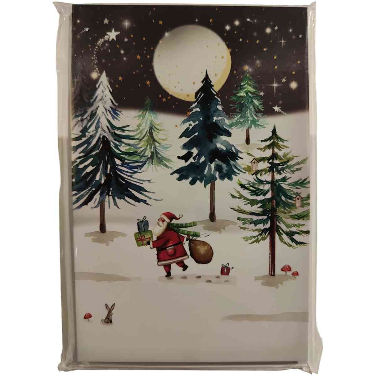 Deva Evans/ Moonlit Santa