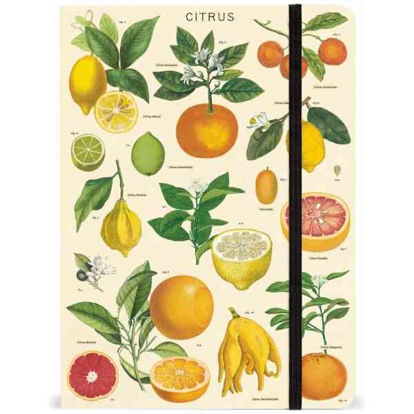 Citrus Notebook 21x15cm