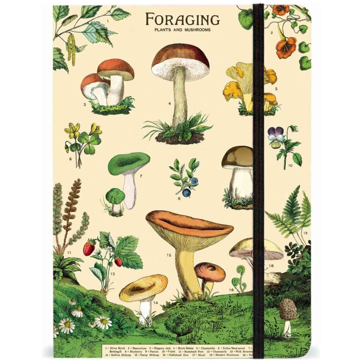 Foraging Notebook 21x15cm