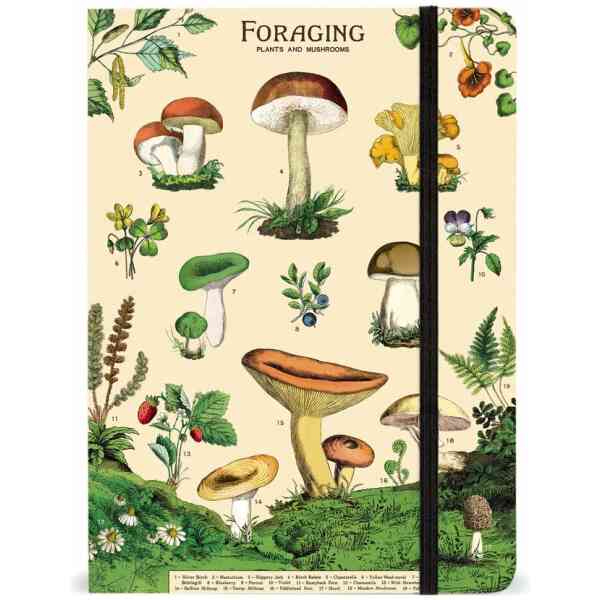Foraging Notebook 21x15cm