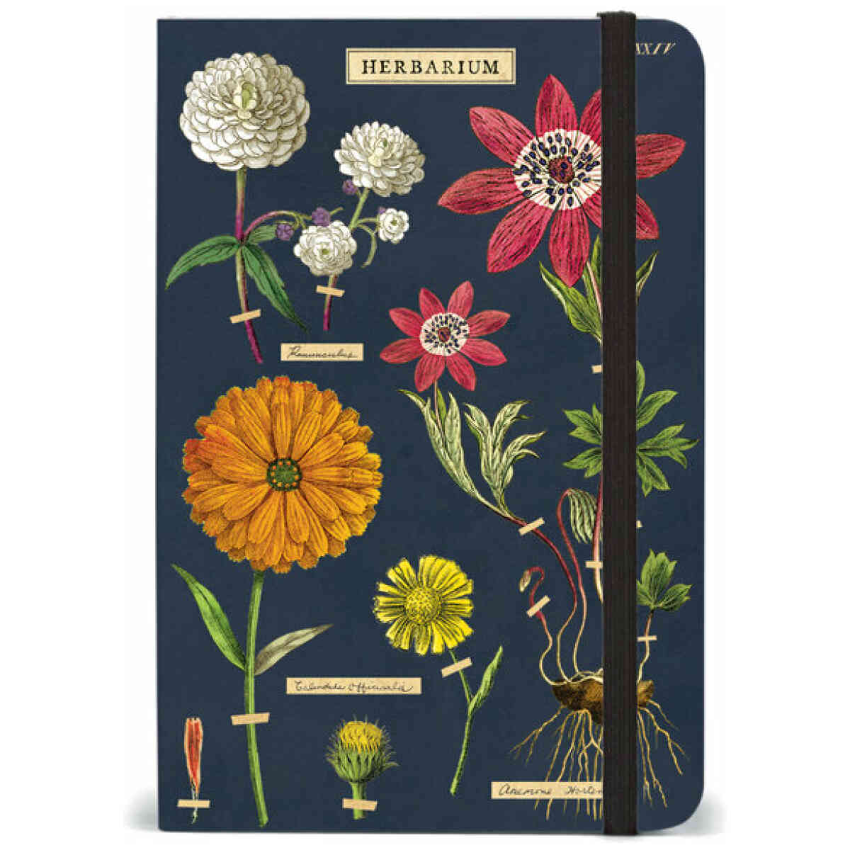 Herbarium Notebook 15x10cm