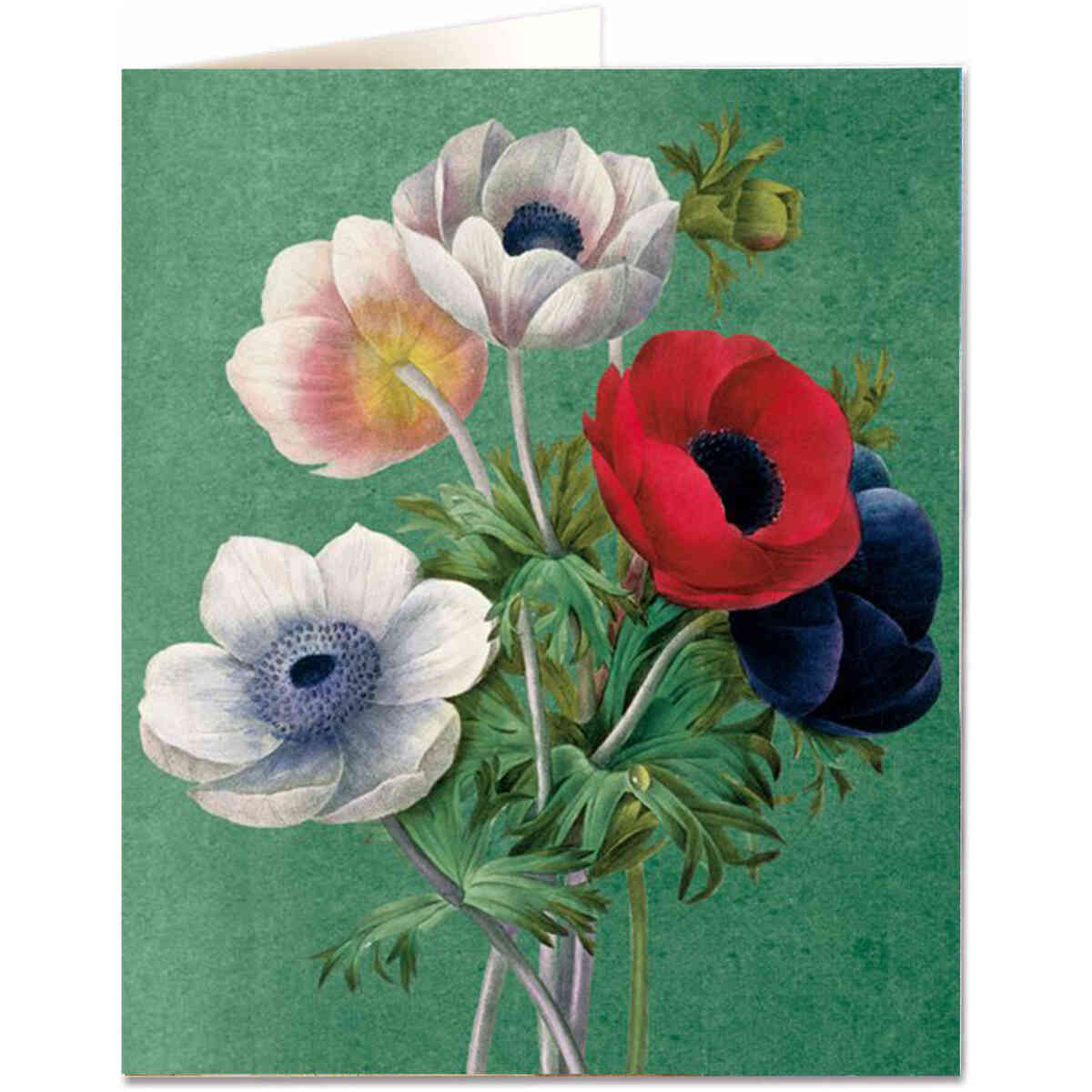 Anenome