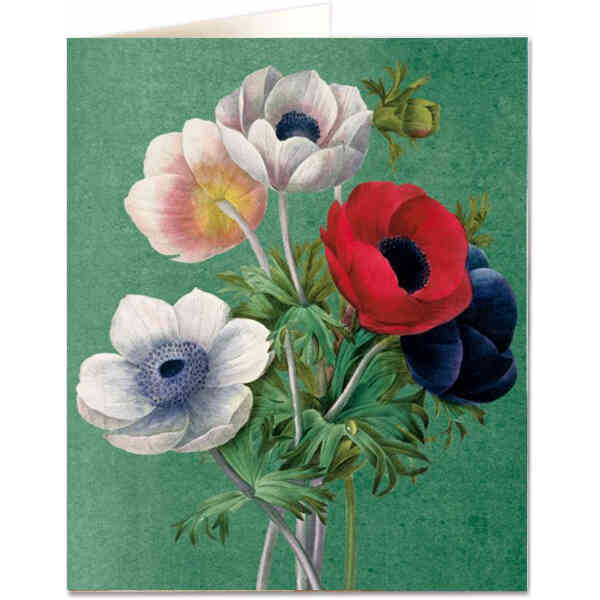 Anenome