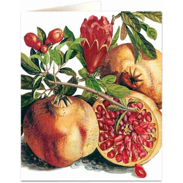 Pomegranate