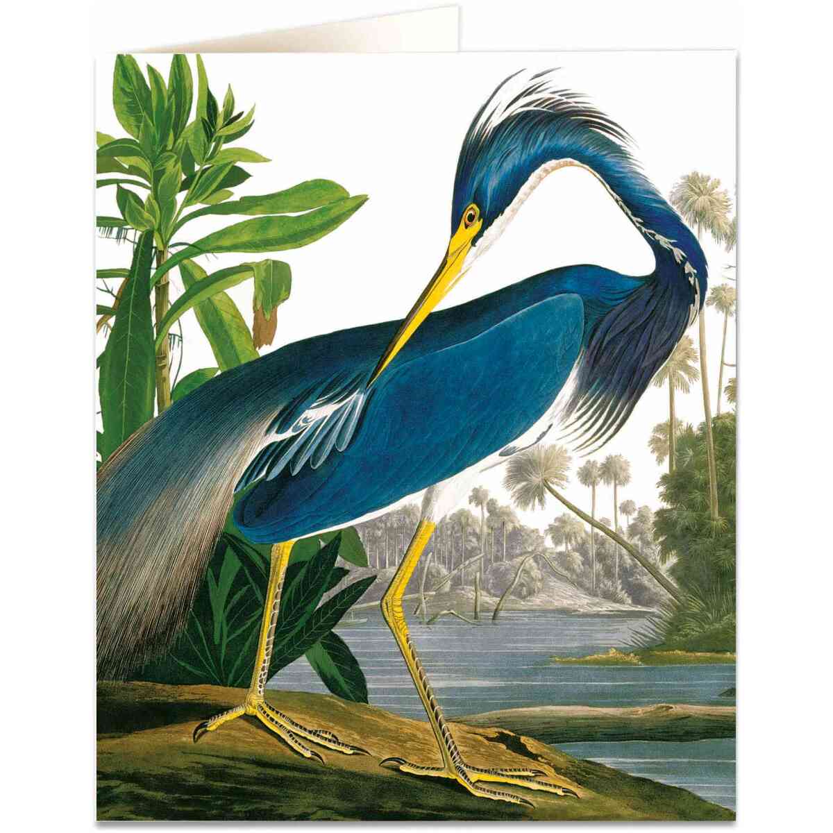 Heron