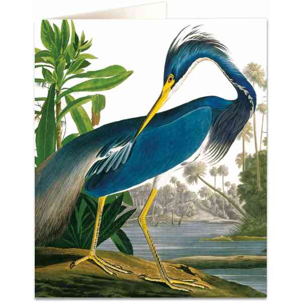 Heron