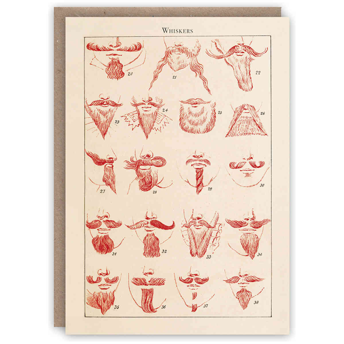 Whiskers greeting card