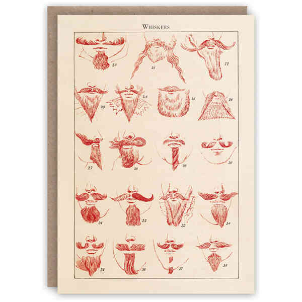 Whiskers greeting card