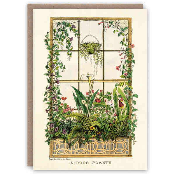 Indoor Plants greeting card