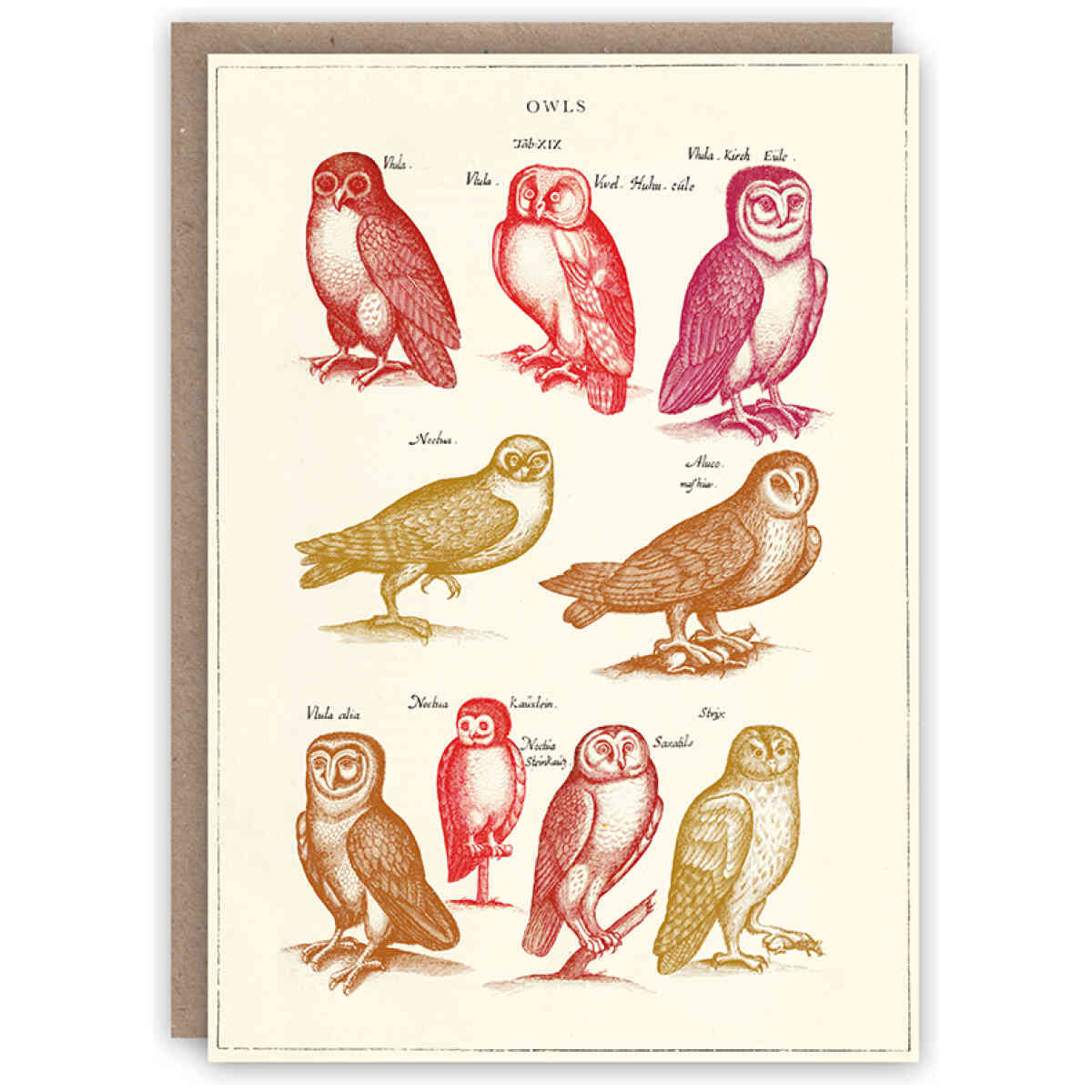 Owls greeting card