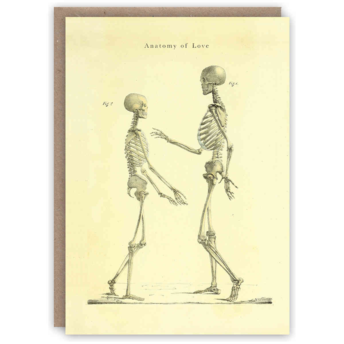 Anatomy of Love greeting card
