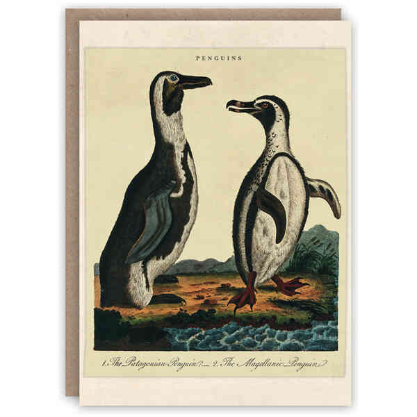 Penguins greeting card