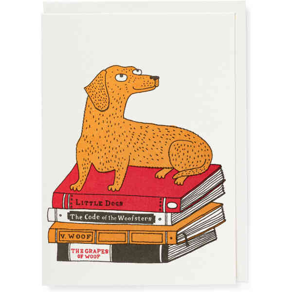 Bookshop Dog