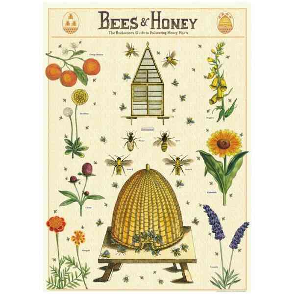 Bees & Honey - Poster