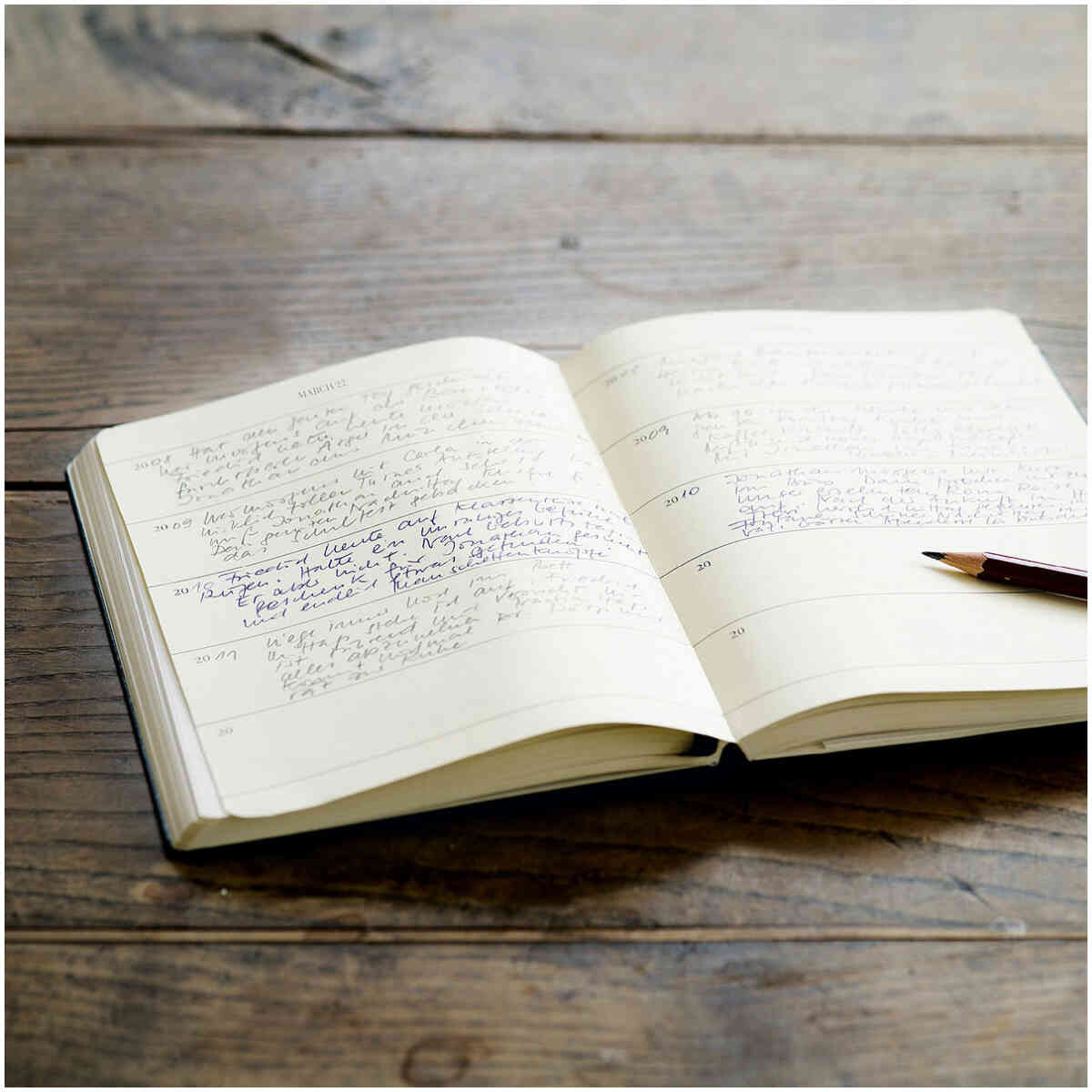 Leuchtturm1917  5-årsdagbok "Some Lines A Day" - Bild 2