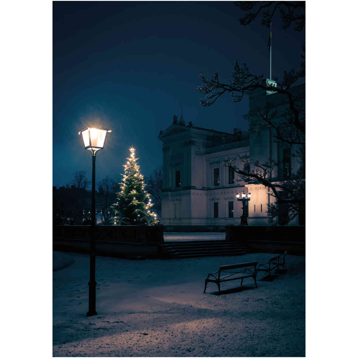 Universitetsplatsen Julkort