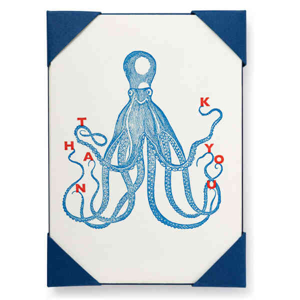 Thank you Octopus