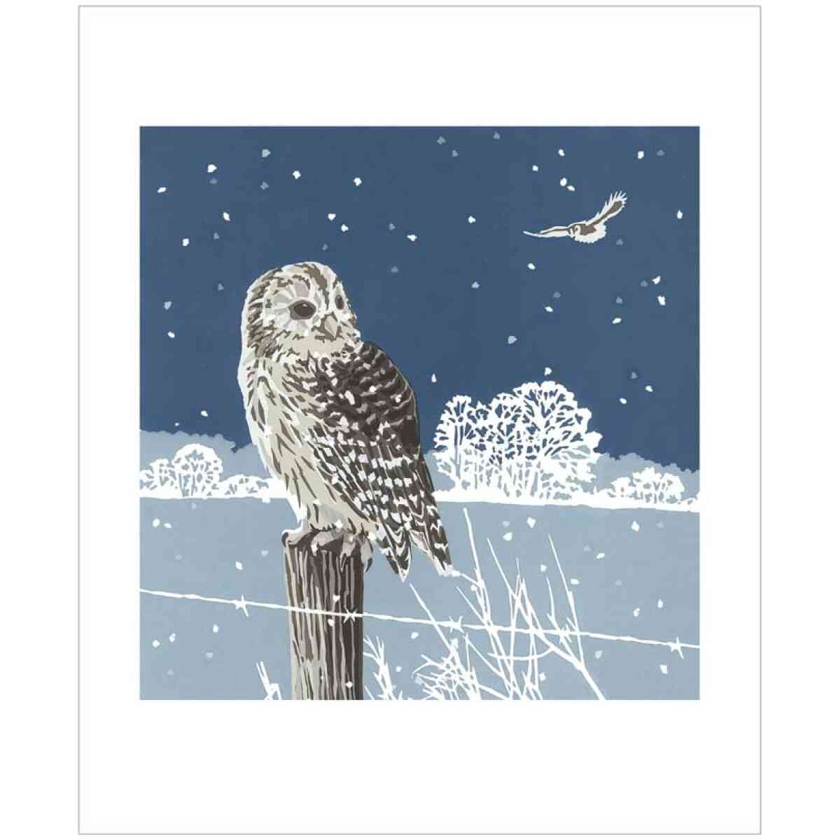 Winter Tawnies
