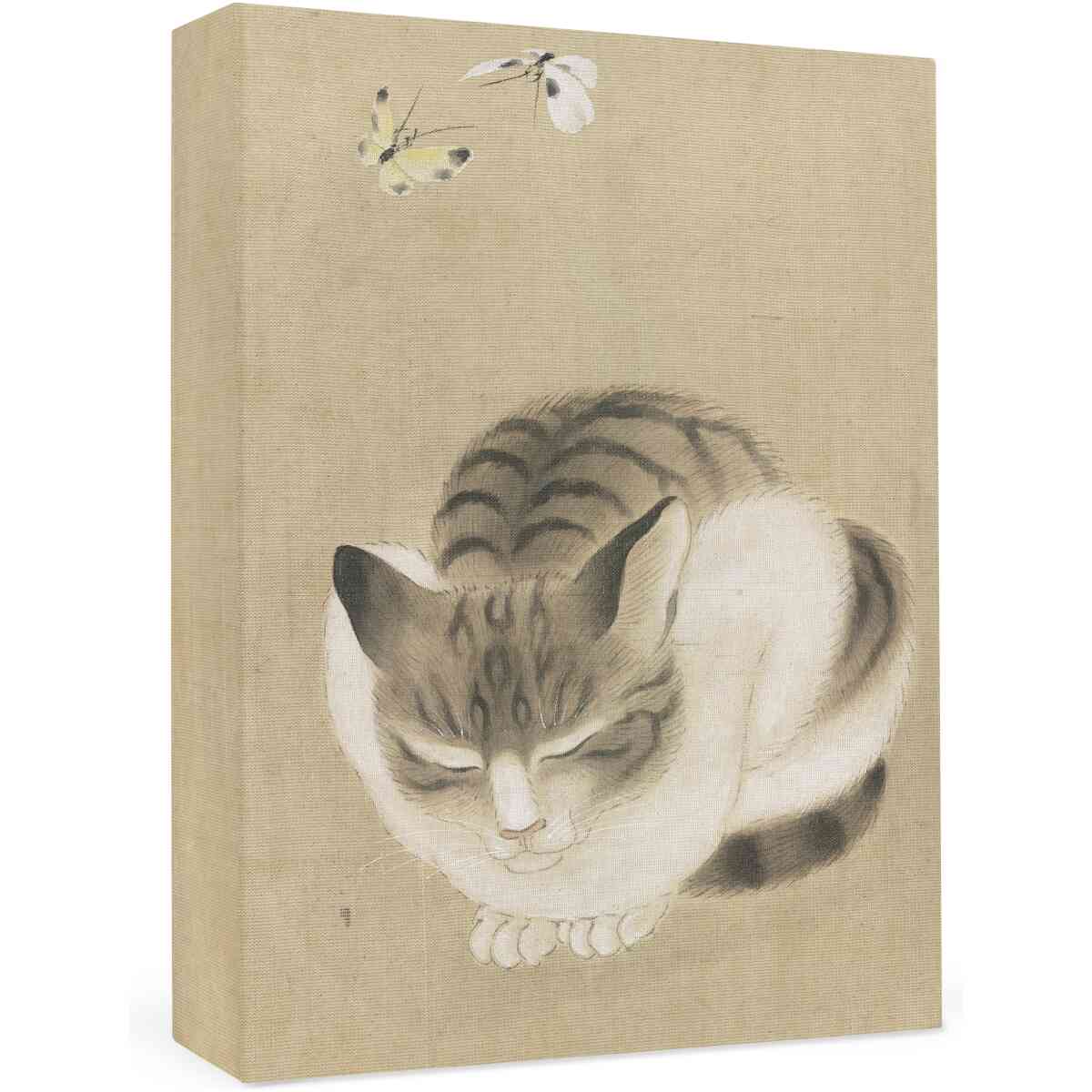 Sleeping Cat and Butterflies Small Boxed Cards