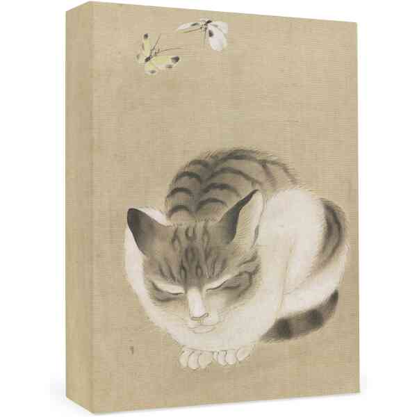 Sleeping Cat and Butterflies Small Boxed Cards