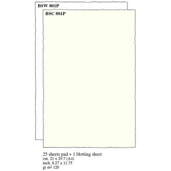 Sheets Pad cm.21x29,7 A4 (x25+1) - BSW 801P - White