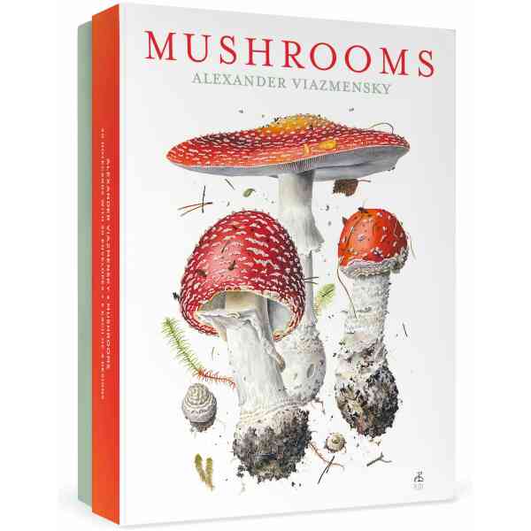 Mushrooms: Alexander Viazmensky Boxed Notecard Assortment