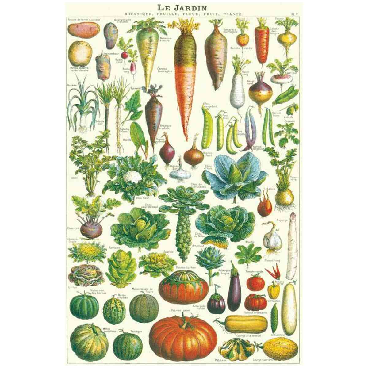 Le Jardin Poster Cavallini