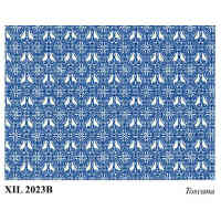 XIL2023B
