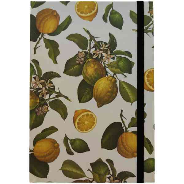 Notebook Elastic Closure cm.15x21 - NBB 564