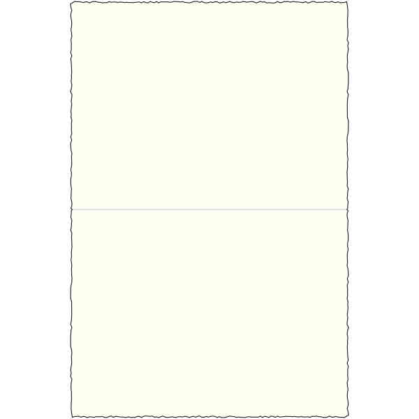 Double Cards flat cm.20X30 (x100) - BSC 207L