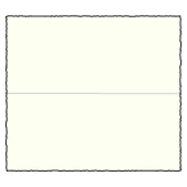 Place Cards cm.9,5x8,5 (x100) - BSC 210L