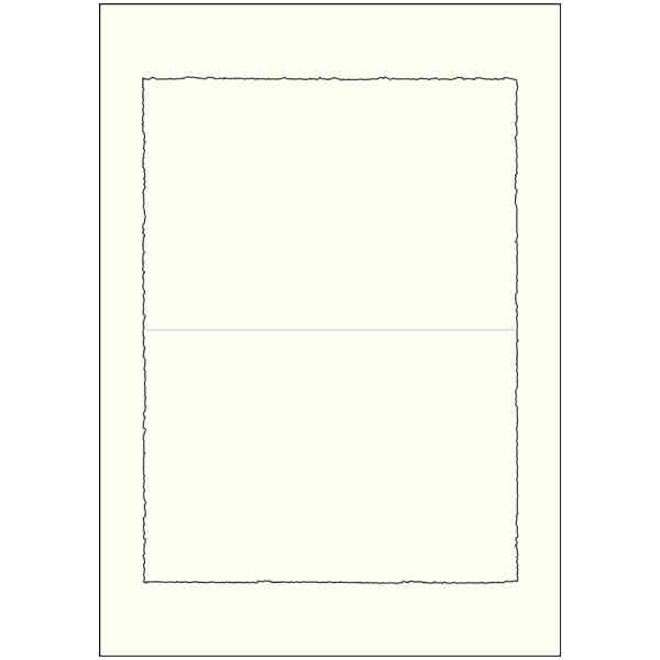 Double Cards cm.17X23 A4 Box x100 - BSP 206L